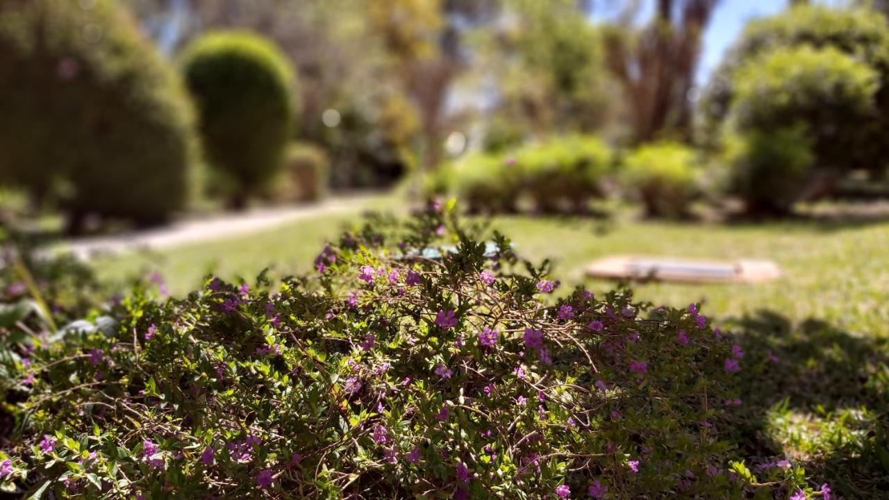 Del Parque Flats Le Village Marbella Golf Екстер'єр фото
